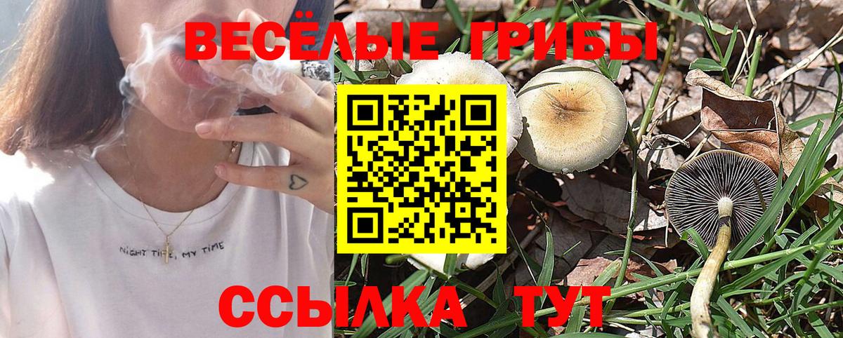 Гудермес  Галлюциногенные грибы Psilocybe  наркошоп  Галлюциногенные грибы мицелий  Вход с VPN 